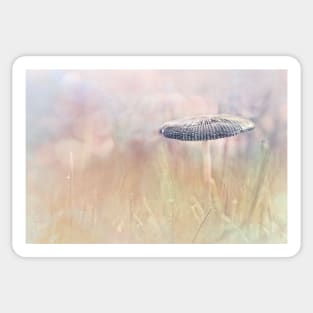 Lonely Mushroom Sticker